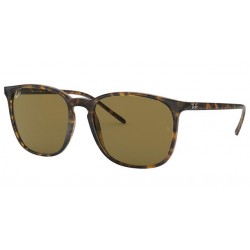 Ray-Ban ORB 4387, 710/73