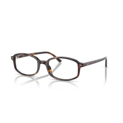 Ray-Ban ORX 5432, 2012